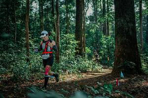 BIB: 
                            <button type="button" onclick="openModal(26133714)" class="btn btn-primary btn-sm float-right btn-popup" data-toggle="modal" data-target=".modal-high-quality">
                        <i class="fas fa-shopping-cart"></i> Add to Cart
                    </button>
                                            <button type="button" onclick="isThisMe(26133714, true)" class="btn btn-success btn-sm float-right btn-popup btn-isme hidden" data-toggle="tooltip" data-placement="bottom" title="นี่คือรูปของคุณใช่ไหม คลิกที่นี่เพื่อเอาเข้าอัลบั้ม">
                        <i class="fas fa-plus"></i> Add to album
                    </button>
                    <button type="button" onclick="isThisMe(26133714, false)" class="btn btn-warning btn-sm float-right btn-popup btn-isnotme hidden">
                        <i class="fas fa-ban"></i> Remove from album
                    </button>